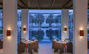 THE CHEDI MUSCAT