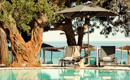 THASSOS IMPERIAL